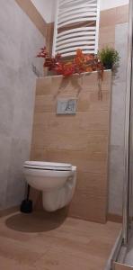 łazienka z toaletą i oknem z kwiatami w obiekcie Sleepy3city Apartments 10 Lutego 23 w mieście Gdynia