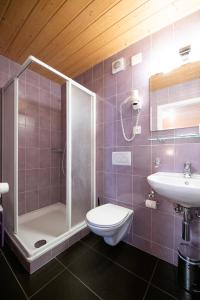 a bathroom with a shower and a toilet and a sink at Motel-Restaurant 13 Etoiles in Sierre