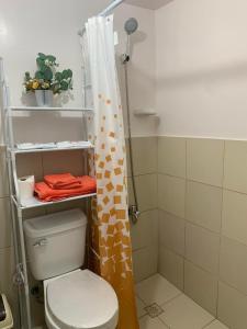 a bathroom with a toilet and a shower curtain at Imus Cavite Stayction - 1 Bedroom Condo Unit - Urban Deca Homes - Olive Bldg in Imus