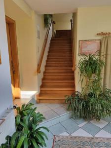 Fotografie z fotogalerie ubytování 2 Zimmer Wohnung in Thermennähe für 4 Personen v destinaci Bad Waltersdorf