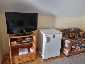 a living room with a refrigerator and a tv at 2 Zimmer Wohnung in Thermennähe für 4 Personen in Bad Waltersdorf