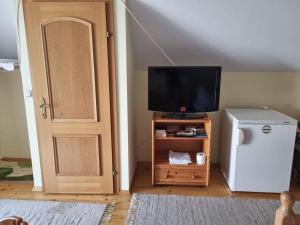 a room with a television and a small refrigerator at 2 Zimmer Wohnung in Thermennähe für 4 Personen in Bad Waltersdorf