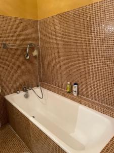 a bath tub in a tiled bathroom with a shower at Le Bois Perrin in Joinville