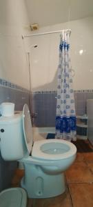 a bathroom with a toilet and a shower curtain at Casa Rural Sara in Pinos del Valle