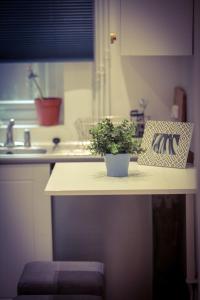 a potted plant sitting on a counter in a kitchen at Warren Apartment in London