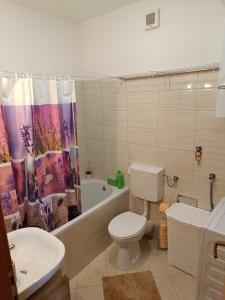 a bathroom with a toilet and a shower curtain at Apartman Ante in Gospić