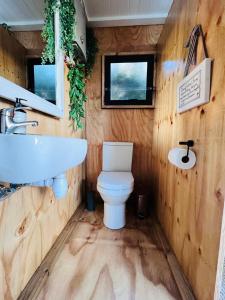 a bathroom with a toilet and a sink at The Bachelor in Mossel Bay
