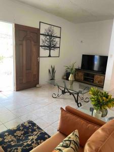 uma sala de estar com um sofá e uma televisão em Villa Maat 5 minutes to Winnifred Beach em Port Antonio