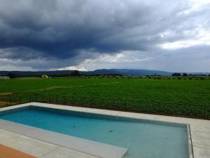 a swimming pool with a view of a field at Agriturismo Sant'Uberto in Bolgheri