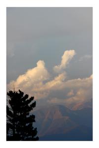 a tree and a sky with clouds and mountains at MOEDANZE in Tʼelavi