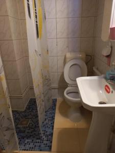 ein Bad mit einem WC und einem Waschbecken in der Unterkunft Pensiunea FADI in Lugoj