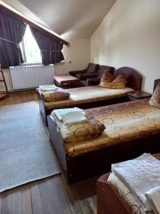ein Wohnzimmer mit 2 Sofas und einem Sofa in der Unterkunft Pensiunea FADI in Lugoj