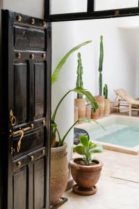 an open door with potted plants next to a pool at Riad 27 in Marrakesh