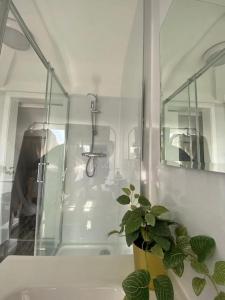 een badkamer met een douche en een potplant bij Santiago Suite 4 - A Beautiful Duplex Flat in Southport