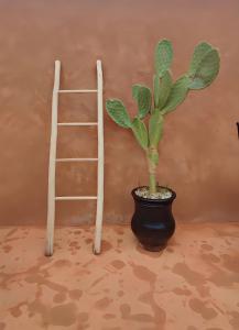 una planta en una olla junto a una escalera en Riad El Youssoufi, en Marrakech