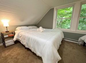a bedroom with two beds with white sheets and two windows at GREAT VALUE! 7 Beds, W/D, & Parking! in Albany