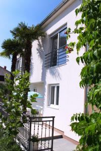 a white building with a palm tree and a window at Apartments Palma in Šibenik