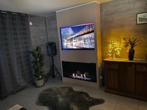 TV a/nebo společenská místnost v ubytování Andreea