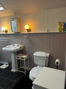 a bathroom with a toilet and a sink at 3 bed cottage in Ahakista West cork in Ahakista