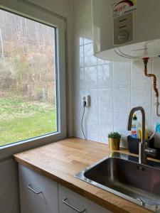 un comptoir de cuisine avec un évier et une fenêtre dans l'établissement Ferienhaus am Reiterhof, à Wernigerode