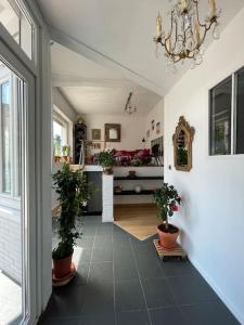 un pasillo con dos macetas y una cocina en Loft des Célestins, en Vichy