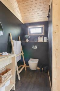 a small bathroom with a toilet and a window at Forestic Lietuva in Vilionys