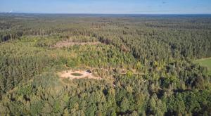 an aerial view of a forest of trees at Forestic Lietuva in Vilionys