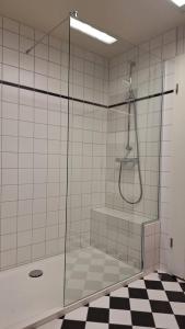 a shower with a glass door in a bathroom at Stadtpalais Romantik-Suite 3 Zimmer maximal 6 Personen in Bautzen