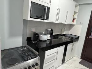a small kitchen with a stove and a sink at Cozy Apartment in Kololo in Kampala