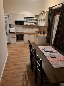 Kuchnia lub aneks kuchenny w obiekcie Apartman Zuki