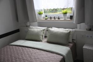 Bett in einem Zimmer mit Fenster in der Unterkunft Refugium 2020 in Marienheide