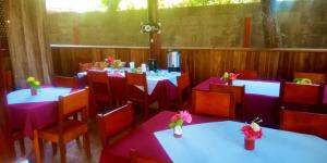 Restaurace v ubytování Gecko de Tortuguero + 37 fotografií