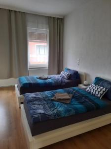 1 Schlafzimmer mit 2 Betten und einem Fenster in der Unterkunft Apartments Wagner in Crimmitschau