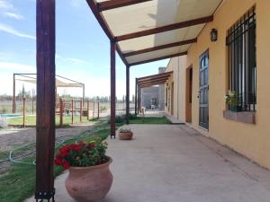 a walkway outside of a building with flowers in pots at Cabañas mi Terruño in San Rafael