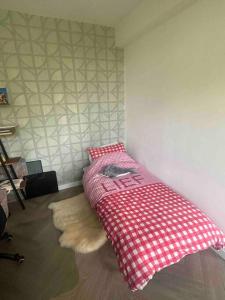 FREE PARKING Entire cozy house in Amsterdam Noord