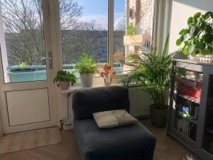 FREE PARKING Entire cozy house in Amsterdam Noord