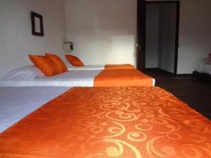 Fotografie z fotogalerie ubytování Raices Hotel San Agustin v destinaci San Agustín