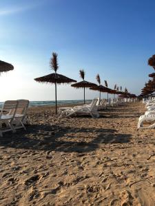 een rij stoelen en parasols op een strand bij ABADA hôtel Mostagaem in Mostaganem
