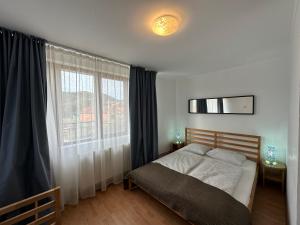a bedroom with a bed and a large window at Cassa-Grande in Bozovici