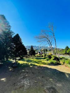 a park with a tree and a field of grass at Quartos privados - Quinta da Paz in Santa Cruz