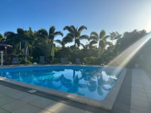 una piscina con palme sullo sfondo di Appartement Coeur de Papillon a Baie-Mahault