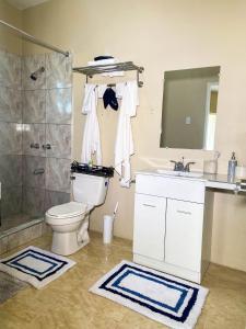 uma casa de banho com um WC, um lavatório e um chuveiro em Tamra’s Getaway em Montego Bay