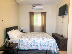 um quarto de hotel com uma cama e uma televisão em Tamra’s Getaway em Montego Bay