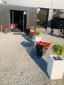 Jelcz的住宿－Pensjonat Trzy Stawy，一群盆栽植物坐在建筑物外