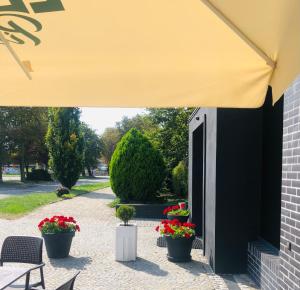 a yellow awning over a patio with flowers in pots at Pensjonat Trzy Stawy in Jelcz