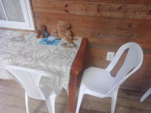 TOnat Caribe Hostel في ويست ايند: وجود دبدوب يجلس على طاولة مع كرسي