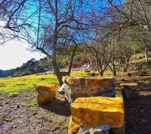 a group of stone benches sitting in a field at Pousada Laranjeiras Ecoturismo in Bom Jardim da Serra
