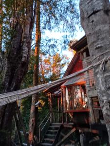 uma cabana de madeira na floresta com uma árvore em Cabañas Rio Sur y tinajas calientes em Puerto Varas