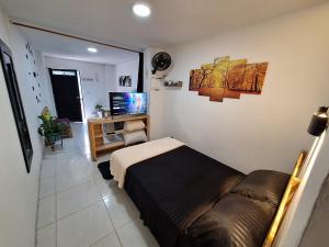 a bedroom with a bed and a couch and a television at Osimiri apartamento Naturaleza y aventura in San Rafael