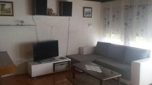 TV a/nebo společenská místnost v ubytování Guest House Jole